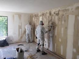 Why You Should Choose Our Mold Remediation Services in Santa Anna, TX